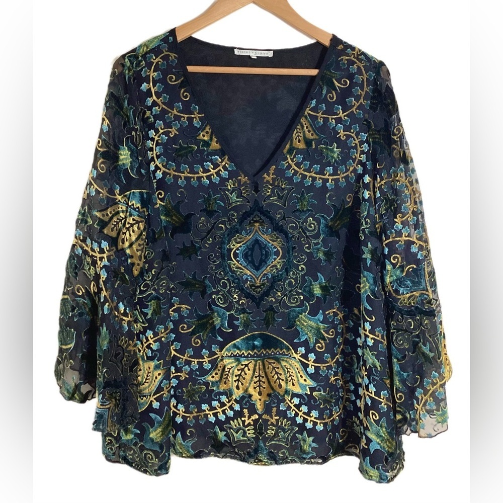 Violet & Claire Velvet Burnout Sheer Boho Blouse Size 2X